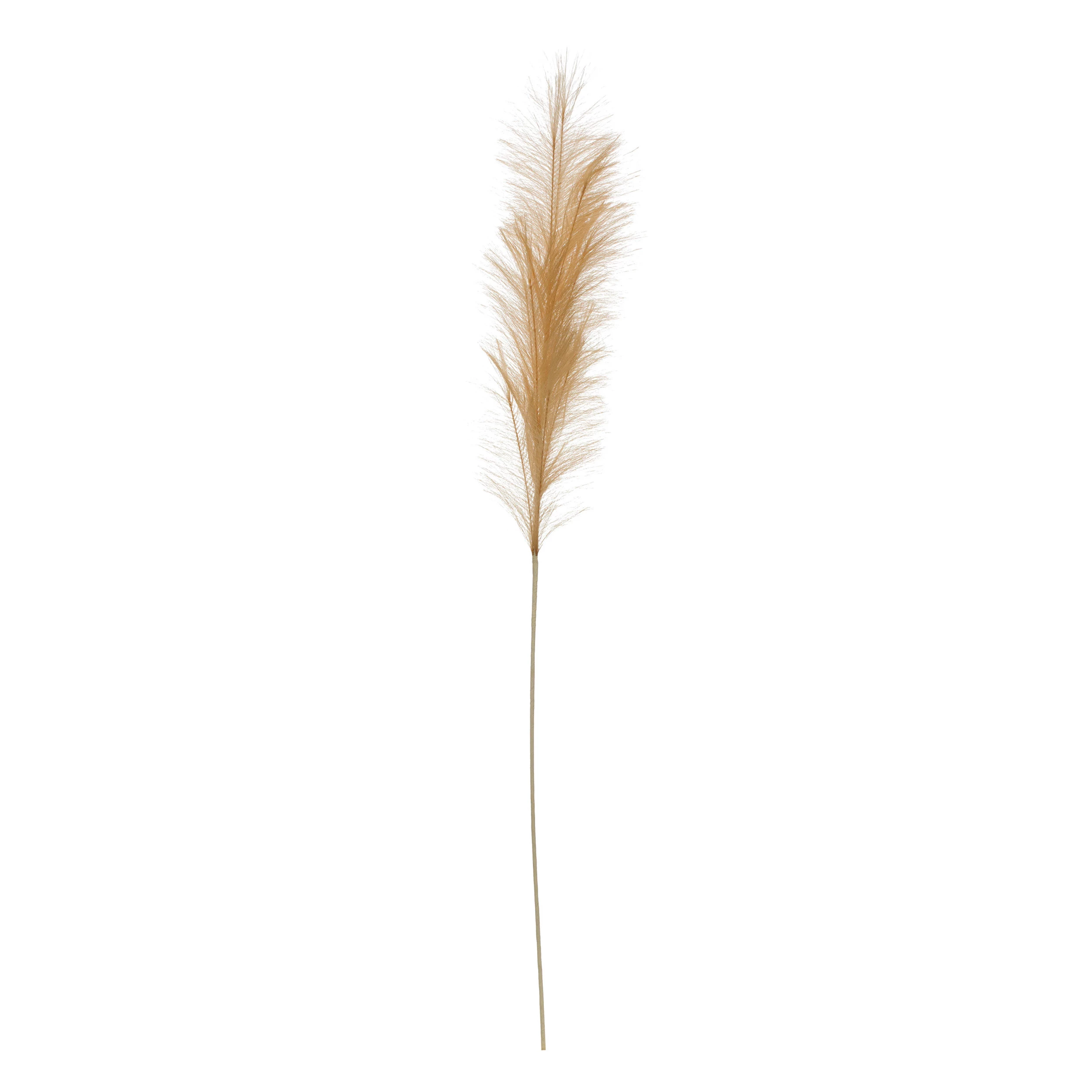 Faux Pampas Grass, Beige, Set of 2 - Image 3
